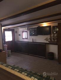 Appartamento Nettuno