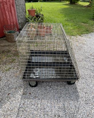 Box trasporto cani