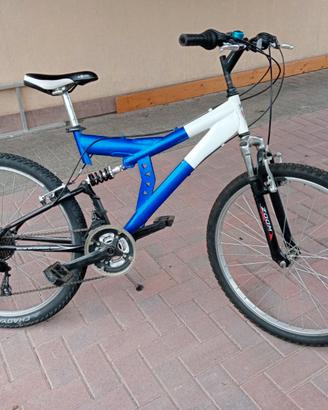 Bicicletta per ragazzo