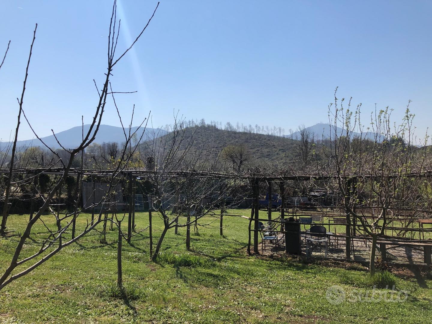 Terreno agricolo Grottaferrata - Vista 5