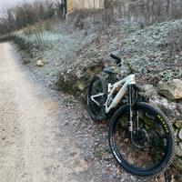 FOX  36 Performance Elite Grip2