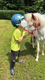 Vendita pony per bambini