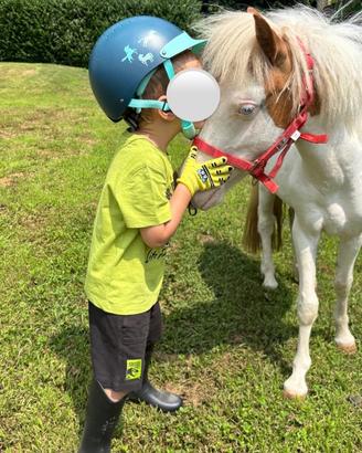 Vendita pony per bambini