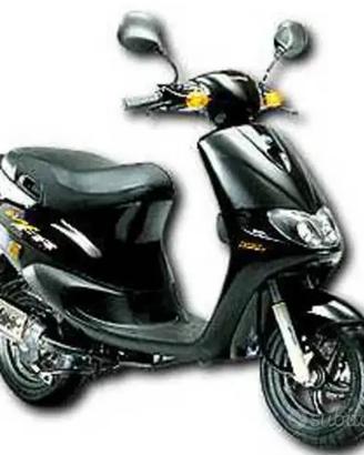 PIAGGIO ZIP FAST RIDER RICAMBI
