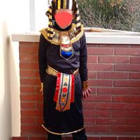 Costume di carnevale