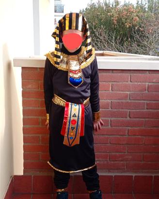 Costume di carnevale