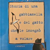 LIBRO PER BAMBINI  - STORIA DI UNA GABBIANELLA E