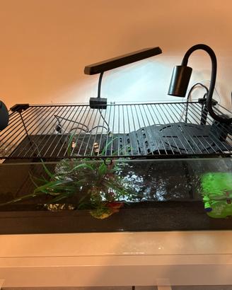 ACQUARIO PER PESCI O TARTARUGHE