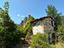 Immagine 11