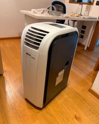 Condizionatore Portatile 13.500 BTU FRAL FSC14