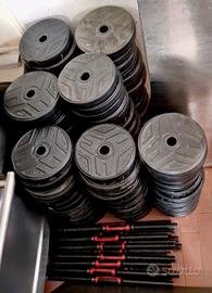 PESI DISCHI PALESTRA