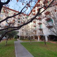 Pa154553_bicamere ultimo piano