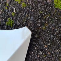 cofano golf 7.5 Rline incidentato 