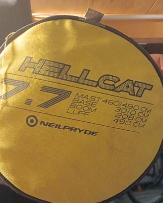 vela windsurf 