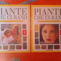 Piante che curano - enciclopedia delle piante medi