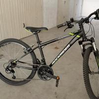 Bicicletta bambino 