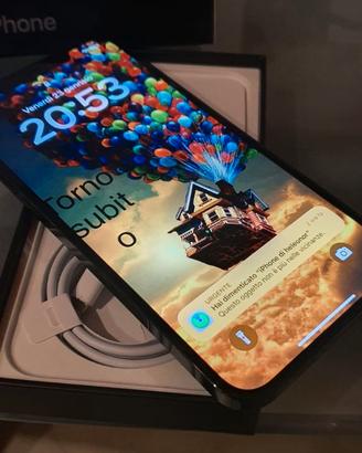 iPhone 12 Pro Max 512 GB