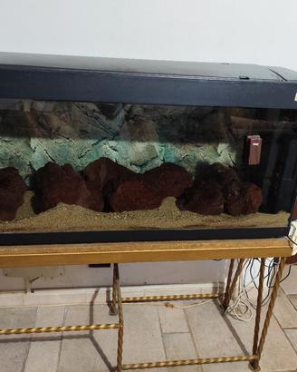 acquario 