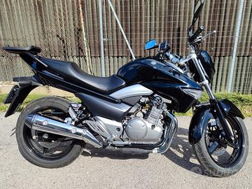 SUZUKI INAZUMA GW250