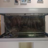 acquario 180 litri