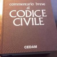 Codice Civile Commentario Cian/Trabucchi