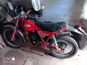 Trial Fantic 240