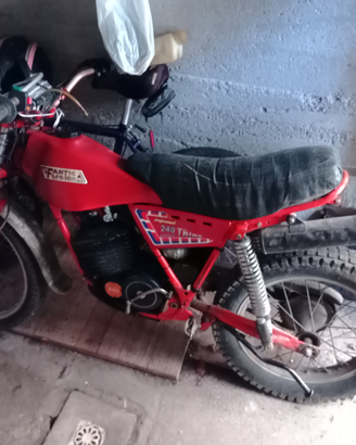 Trial Fantic 240