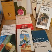 13 libri francesi e in francese poesia letteratura