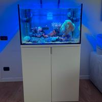 Acquario marino di barriera 240L - 80x60x50