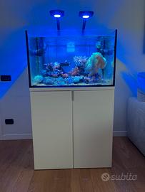 Acquario marino di barriera 240L - 80x60x50