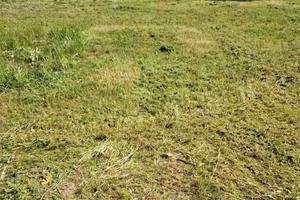 Terreno edificabile a Carbonia