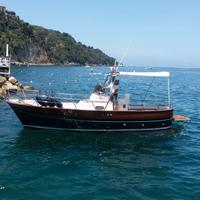 Fratelli Aprea Sorrento 7,50 Open Cruise Bimotore