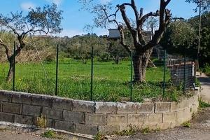 Terreno agricolo