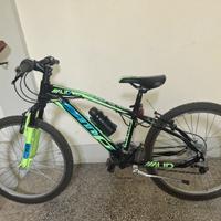 MTB ruote 24