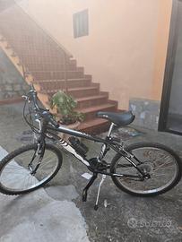 Mountain Bike MSC Special Frame(PREZZO TRATTABILE)