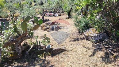 Terreno Edificabile - Monreale