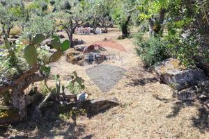 Terreno Edificabile - Monreale