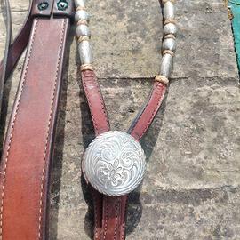 Finimenti in argento per cavallo
