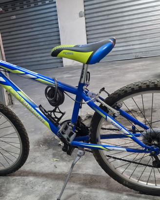 Bicicletta Ragazzo