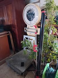 bilancia Grasso genova 