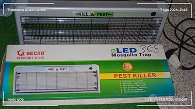 LED NEON TRAPP. 