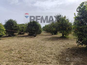 Terreno - Siracusa