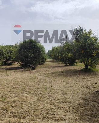 Terreno - Siracusa