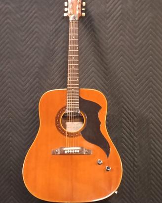 chitarra acustica vintage EKO Ranger 6 Amplificata