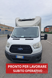 Ford Transit Furgone Isotermico con Frigo Zanotti