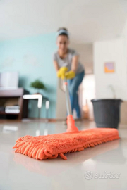 Addetta alle pulizie