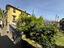Immagine 20