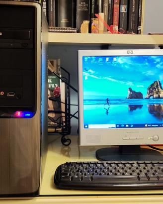 Computer Desktop + Monitor