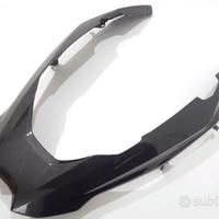 BECCO ANTERIORE CARBONIO BMW R1250 GS