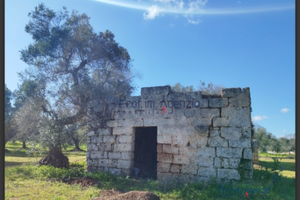 Terreno di 8500m con lamia da ristrutturare
